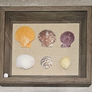Wall Art Made with Natural Colored Seashells